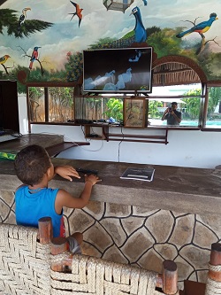 3 and 4 bedroom villas in Diani