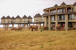 7-Day Classic Kenya Safari & Beach Experience