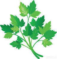 Herbs