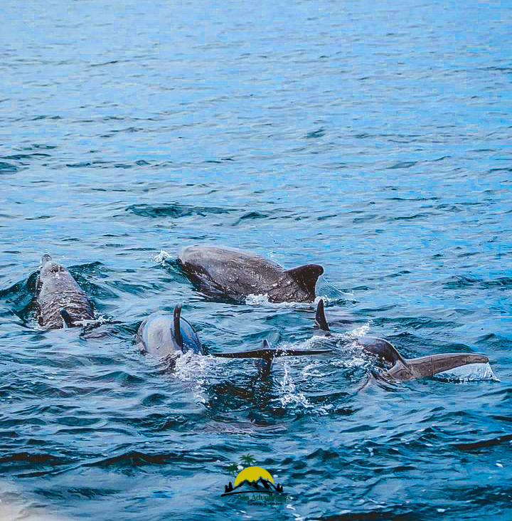 Wasini Island