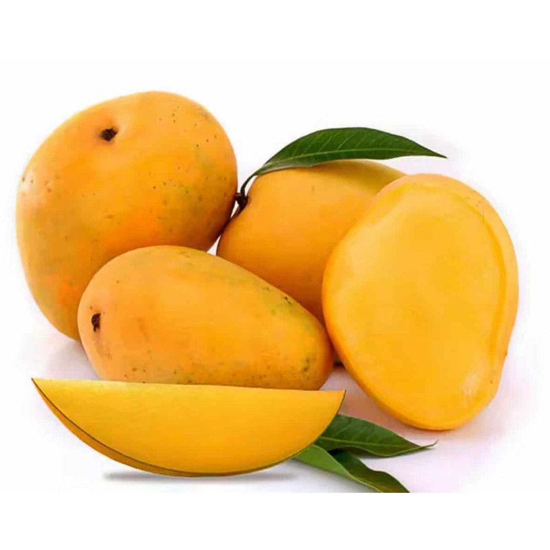 Product logo